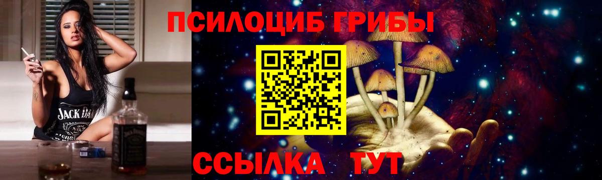 Псилоцибиновые грибы ЛСД Заводоуковск